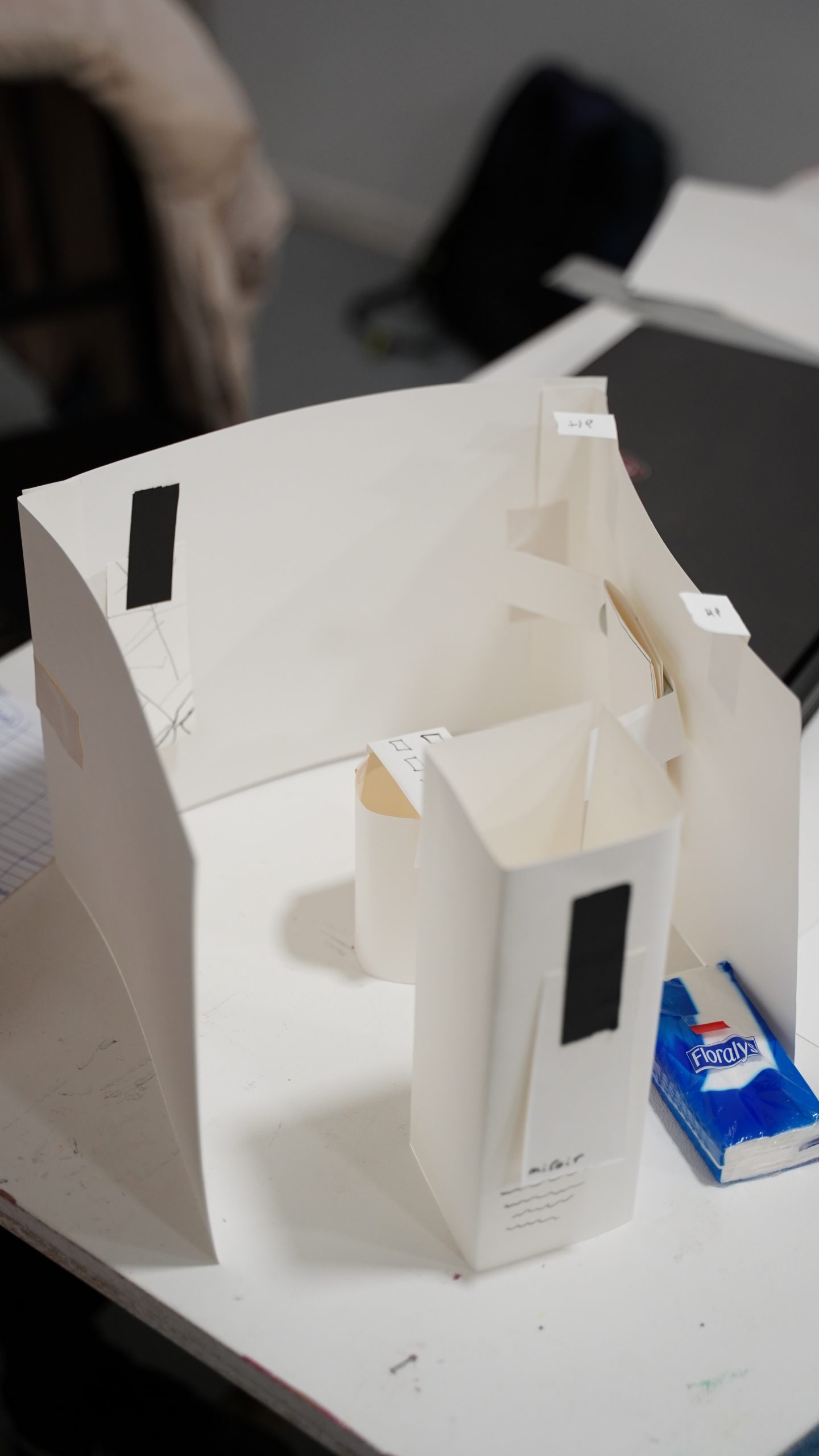 DSC07327 exposition-toulon-wild-vision